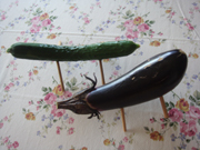 馬と牛