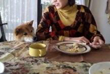 さくら
