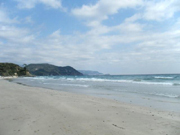 海
