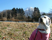 富士山とナンシー