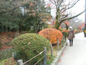 哲学の道
